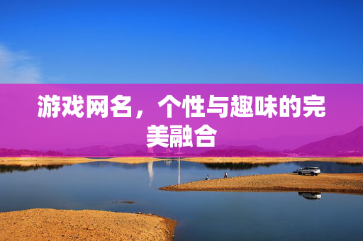 游戏网名，个性与趣味的完美融合