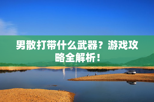 男散打带什么武器？游戏攻略全解析！