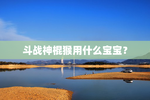 斗战神棍猴用什么宝宝？
