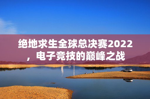 绝地求生全球总决赛2022，电子竞技的巅峰之战