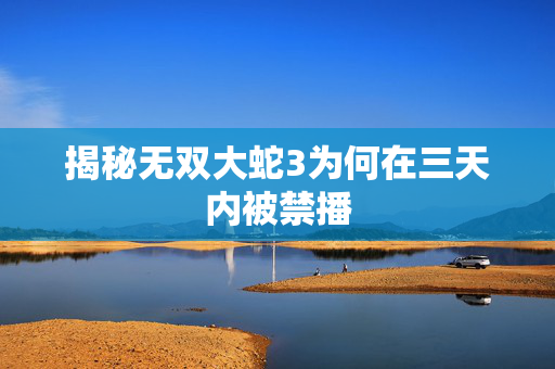 揭秘无双大蛇3为何在三天内被禁播
