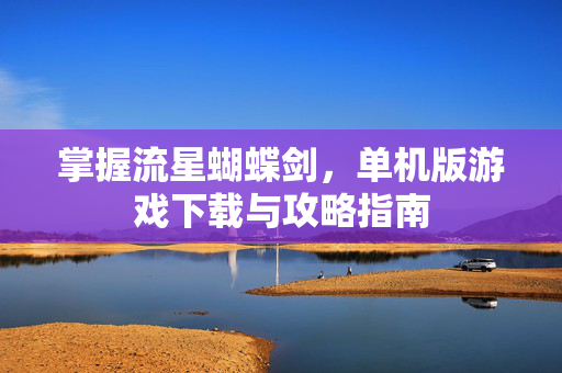 掌握流星蝴蝶剑，单机版游戏下载与攻略指南