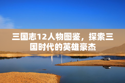 三国志12人物图鉴，探索三国时代的英雄豪杰