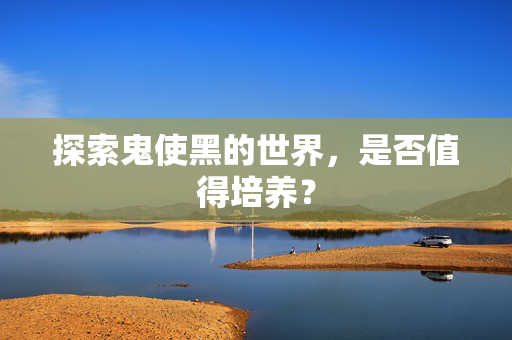 探索鬼使黑的世界，是否值得培养？