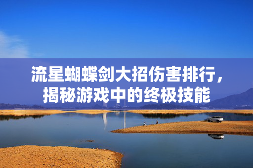 流星蝴蝶剑大招伤害排行，揭秘游戏中的终极技能