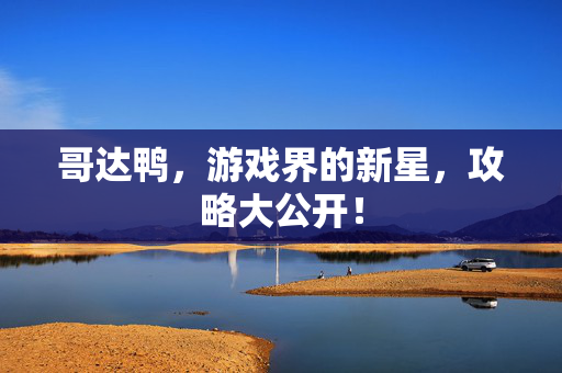 哥达鸭，游戏界的新星，攻略大公开！