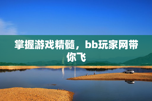 掌握游戏精髓，bb玩家网带你飞