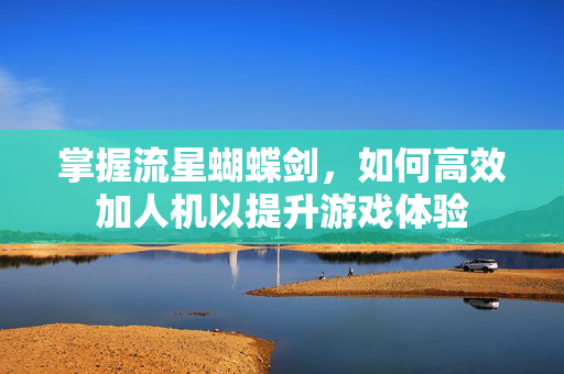 掌握流星蝴蝶剑，如何高效加人机以提升游戏体验