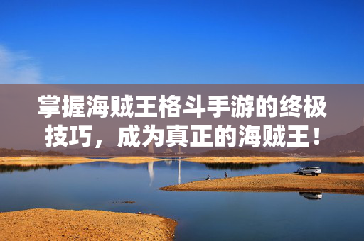 掌握海贼王格斗手游的终极技巧，成为真正的海贼王！