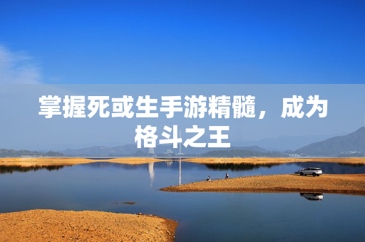 掌握死或生手游精髓，成为格斗之王