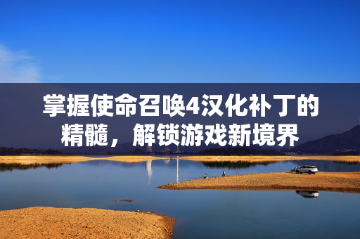 掌握使命召唤4汉化补丁的精髓，解锁游戏新境界