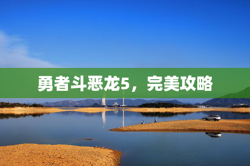 勇者斗恶龙5，完美攻略