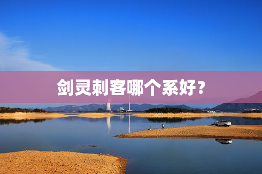 剑灵刺客哪个系好？