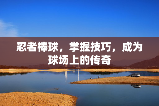 忍者棒球,掌握技巧,成为球场上的传奇 忍者棒球,掌握技巧,成为球场上的传奇