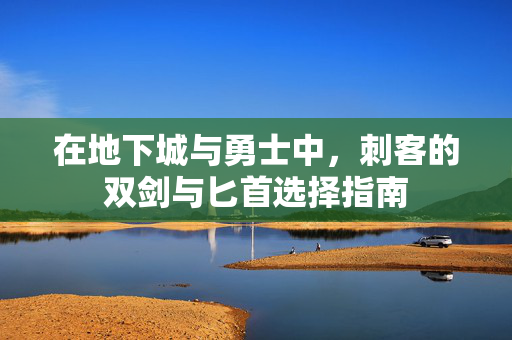 在地下城与勇士中，刺客的双剑与匕首选择指南