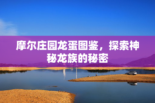 摩尔庄园龙蛋图鉴，探索神秘龙族的秘密