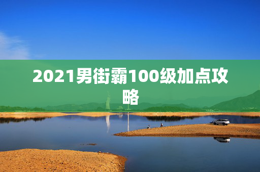 2021男街霸100级加点攻略