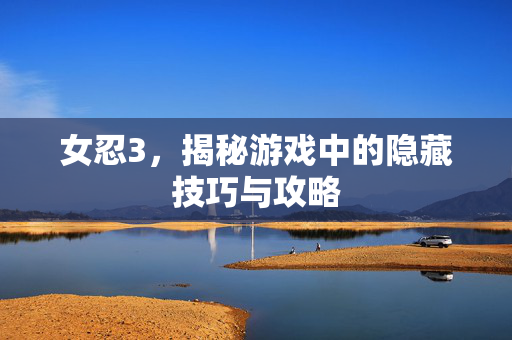 女忍3，揭秘游戏中的隐藏技巧与攻略