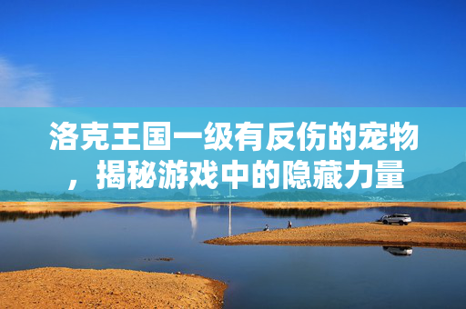 洛克王国一级有反伤的宠物，揭秘游戏中的隐藏力量