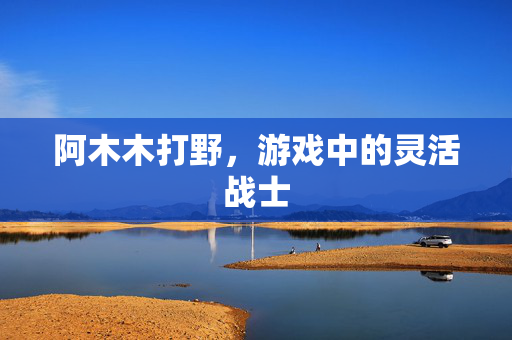 阿木木打野，游戏中的灵活战士