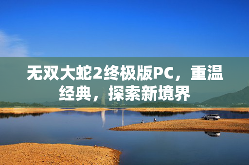 无双大蛇2终极版PC，重温经典，探索新境界