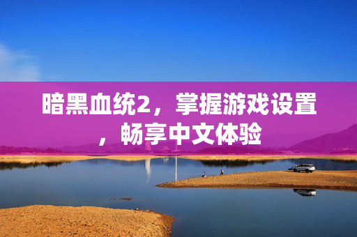 暗黑血统2，掌握游戏设置，畅享中文体验