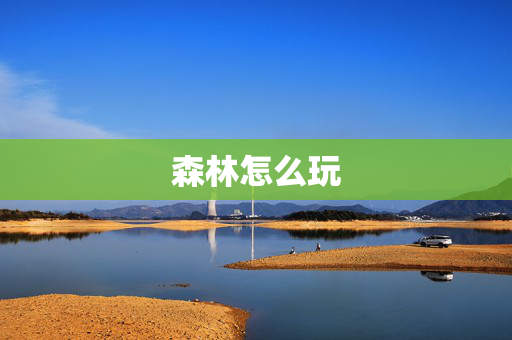 森林怎么玩