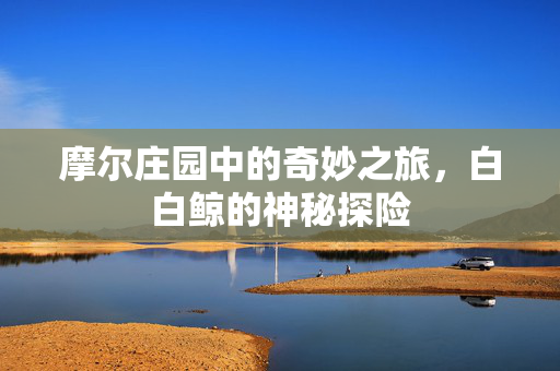 摩尔庄园中的奇妙之旅，白白鲸的神秘探险