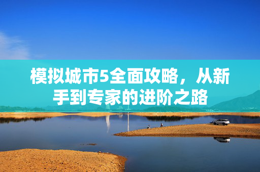 模拟城市5全面攻略，从新手到专家的进阶之路