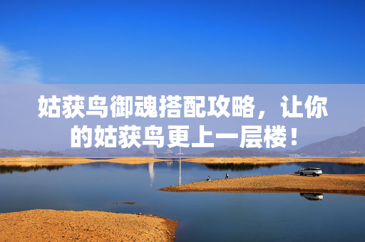 姑获鸟御魂搭配攻略，让你的姑获鸟更上一层楼！