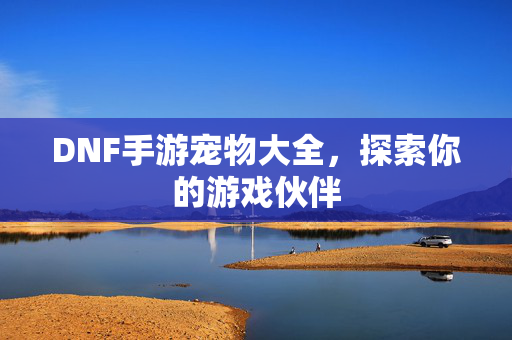 DNF手游宠物大全，探索你的游戏伙伴