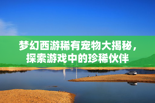 梦幻西游稀有宠物大揭秘，探索游戏中的珍稀伙伴