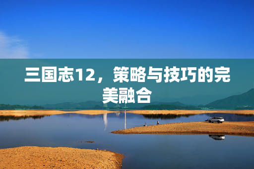 三国志12，策略与技巧的完美融合