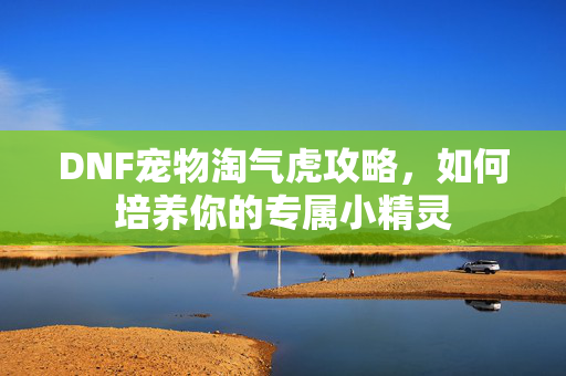DNF宠物淘气虎攻略，如何培养你的专属小精灵