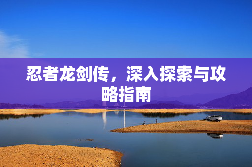 忍者龙剑传，深入探索与攻略指南