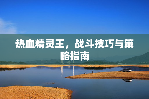 热血精灵王，战斗技巧与策略指南