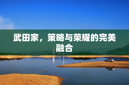 武田家，策略与荣耀的完美融合