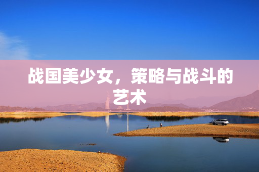 战国美少女，策略与战斗的艺术