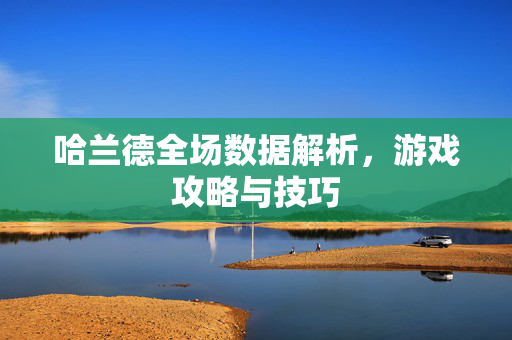 哈兰德全场数据解析，游戏攻略与技巧