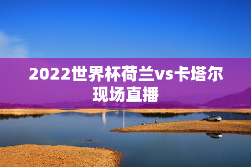 2022世界杯荷兰vs卡塔尔现场直播