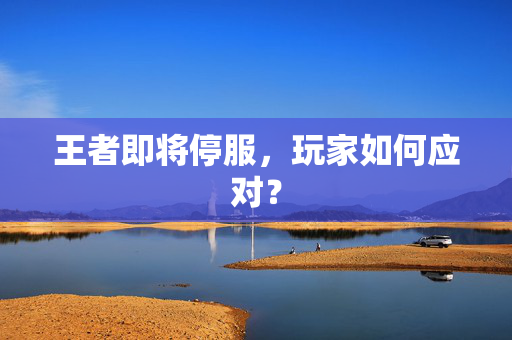 王者即将停服，玩家如何应对？