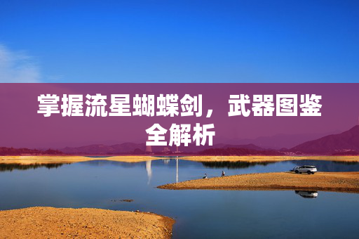掌握流星蝴蝶剑，武器图鉴全解析