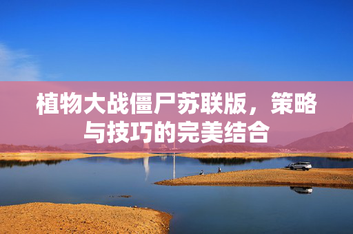 植物大战僵尸苏联版，策略与技巧的完美结合
