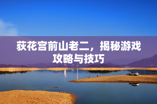 荻花宫前山老二，揭秘游戏攻略与技巧
