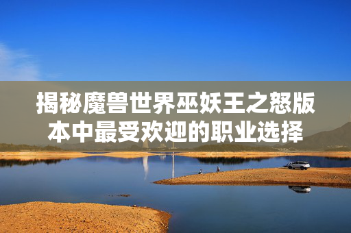 揭秘魔兽世界巫妖王之怒版本中最受欢迎的职业选择