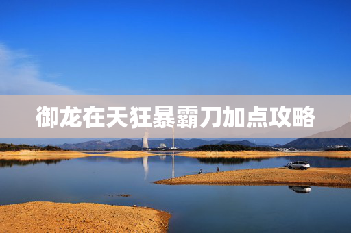 御龙在天狂暴霸刀加点攻略