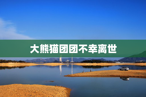 大熊猫团团不幸离世 大熊猫团团不幸离世