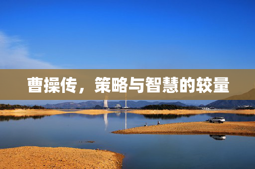 曹操传,策略与智慧的较量 曹操传,策略与智慧的较量