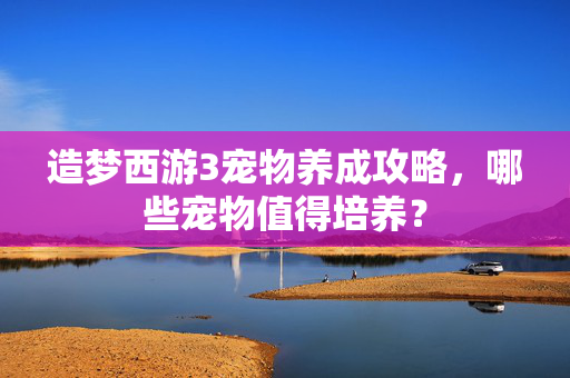 造梦西游3宠物养成攻略,哪些宠物值得培养? 造梦西游3宠物养成攻略,哪些宠物值得培养?