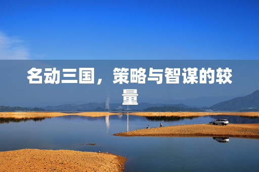 名动三国，策略与智谋的较量